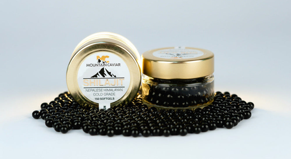 Two gold jars of Mountain Caviar shilajit with a container of shilajit softgels on a light gray background